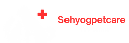 Sehyoh